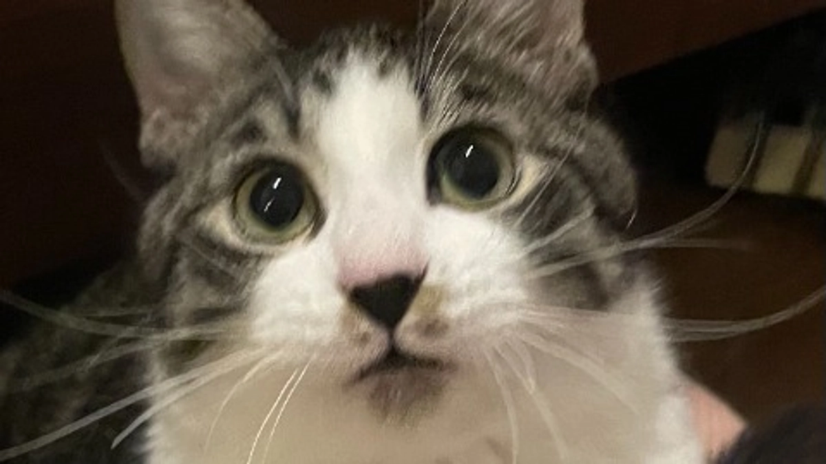 注射の記憶。。。