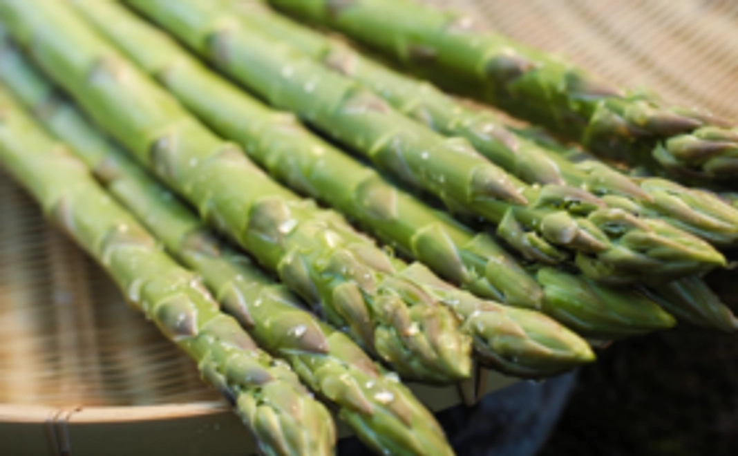 来期アスパラをフライングゲット!!『2Lサイズ 1kg』