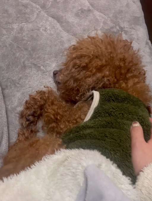 咳が落ち着かない😣