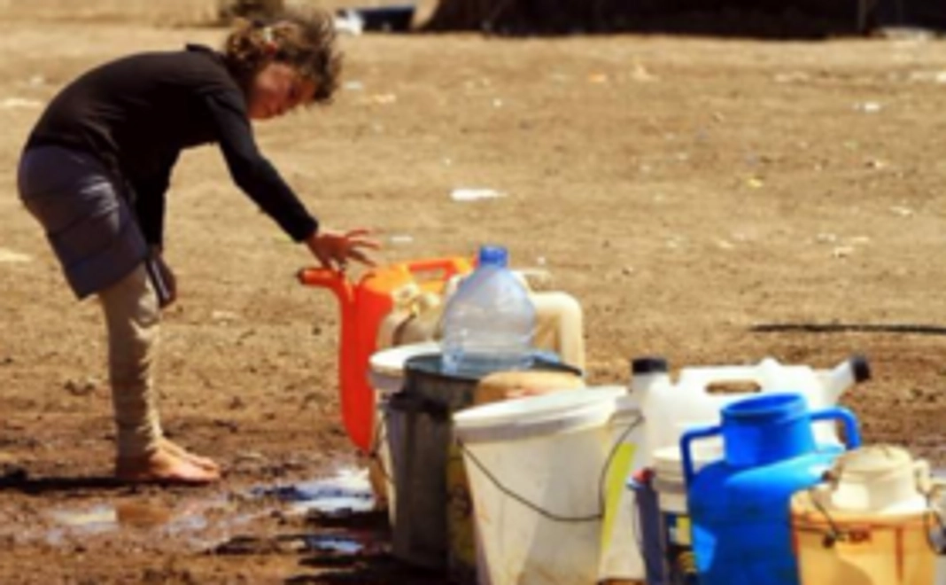 シリア×福島　プロジェクト応援コース(3,000円)