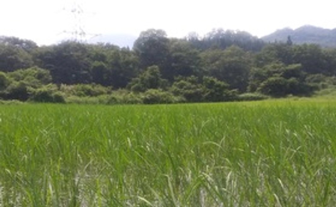 体験1回お試しコース