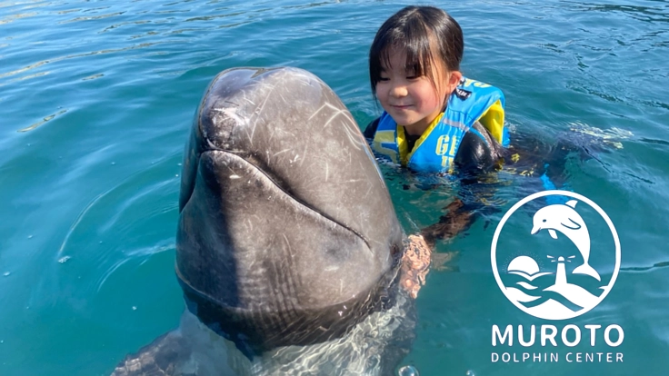 【第二弾】人もイルカもハッピーになれる体験をプレゼントしたい！