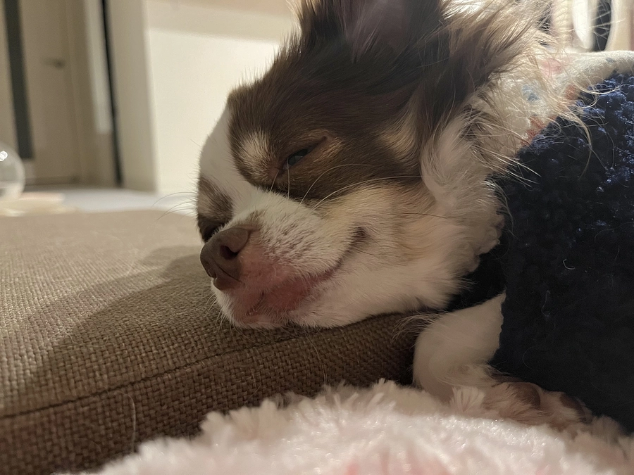 2024.01.12 今日の出来事です。