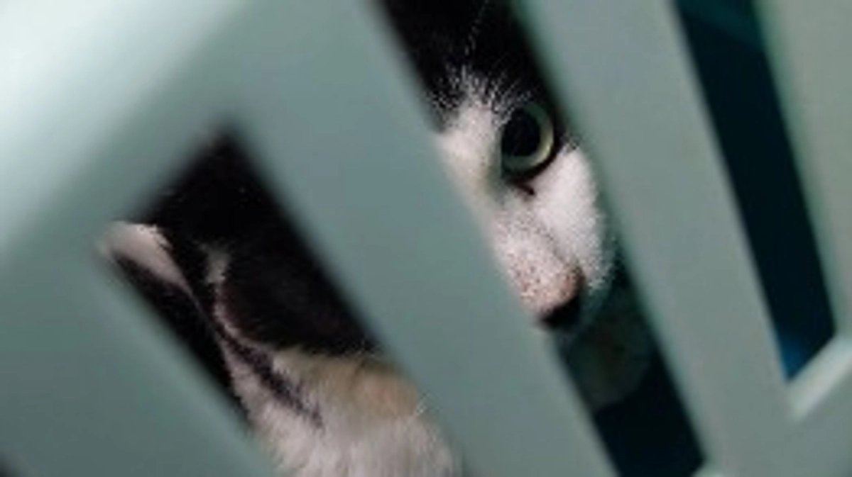 先日のマリアの病院🏥