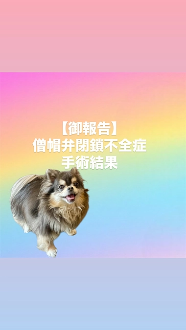 【ご報告】手術の内容と結果について