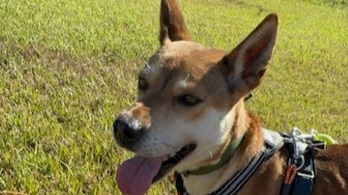 たくさんのご支援ありがとうございます