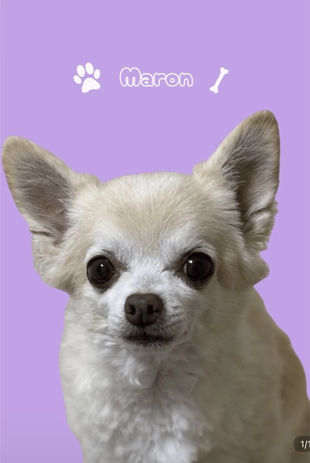 推し活グッズ ブランケット