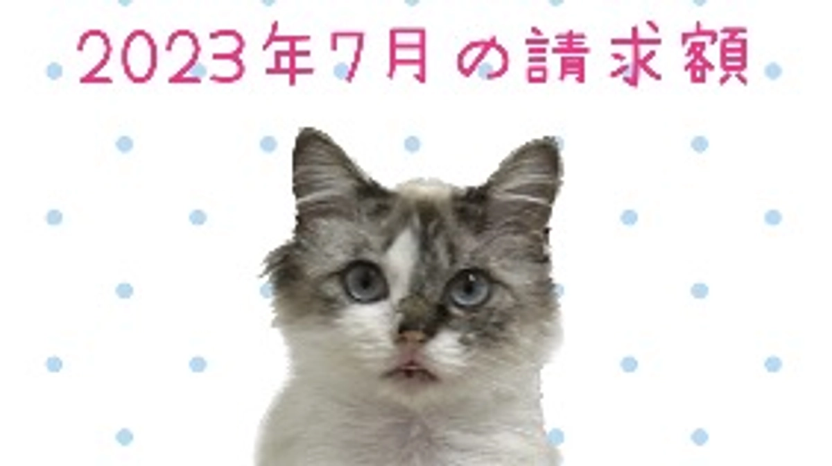病院からの請求額　2023年7月