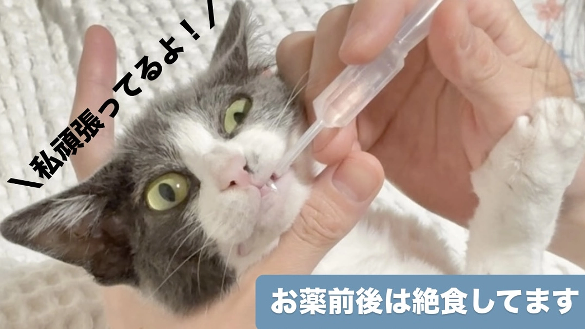 お薬前後４時間の絶食をして頑張ってます！