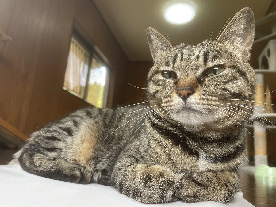 皆様ありがとうございます