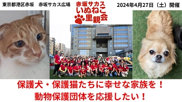保護犬＆保護猫に幸せな家族を！譲渡会開催と保護団体の支援をしたい！ のトップ画像