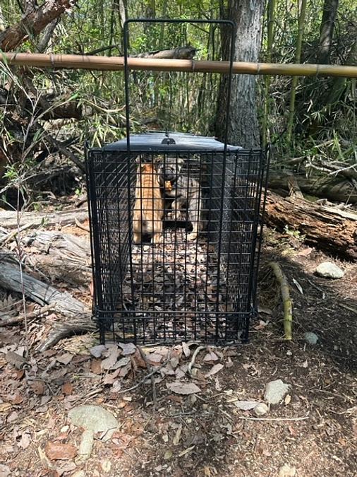 ご協力ありがとうございます。