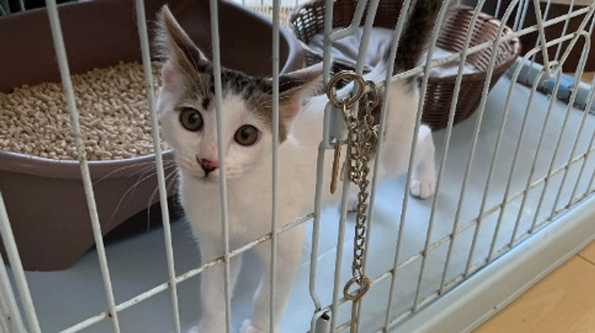 ガルくん、トライアルに旅立ちの日