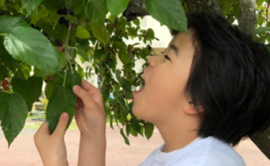 <Readyfor特別プラン>夏の学童参加券プラン