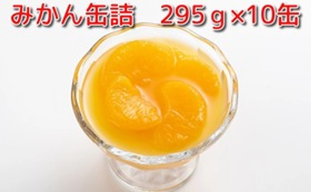 みかん缶詰 10缶