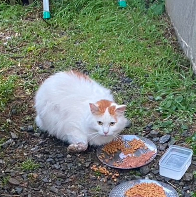 前回の感謝と新たな挑戦のご報告