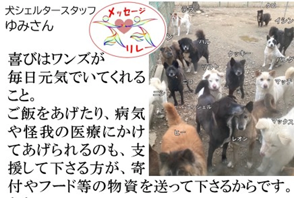 リレー１３．大変なこともあるけれど、毎日この子達に癒されてます❣️