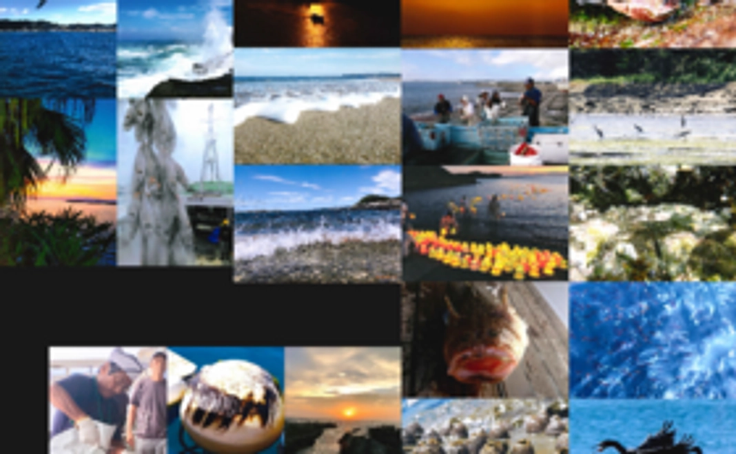 海洋教育写真コンテスト応援コース！