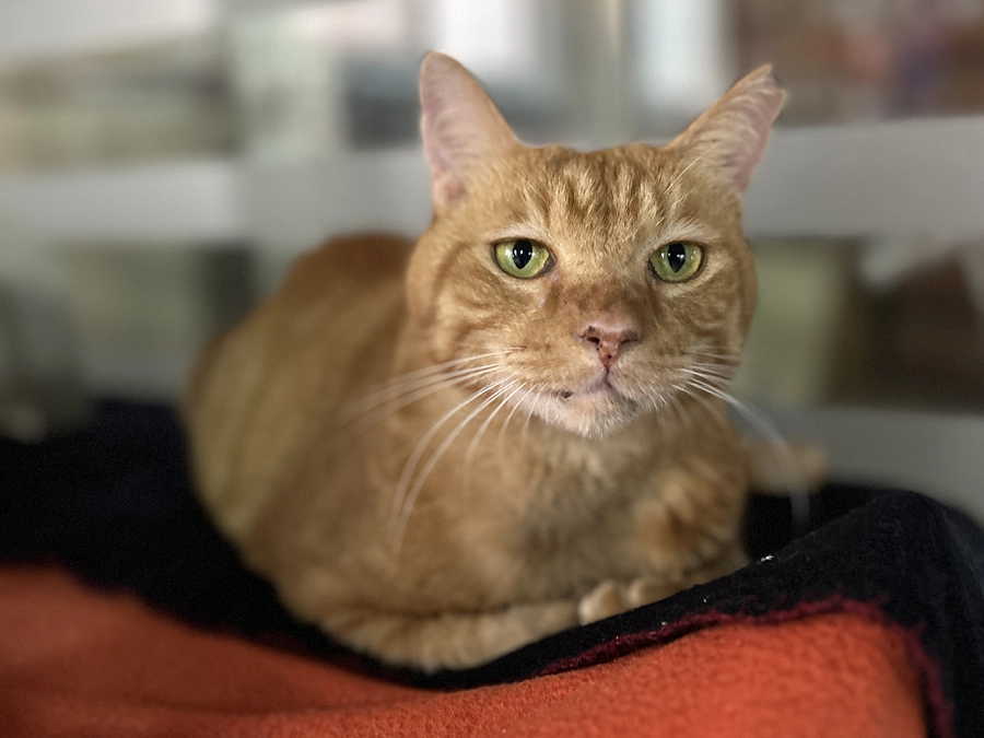 クラウドファンディング名鑑に掲載されました！