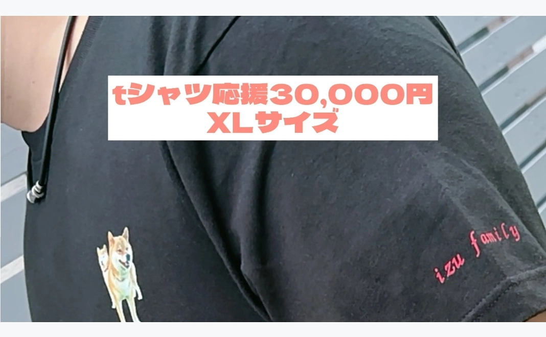 イズファミリーTシャツXL