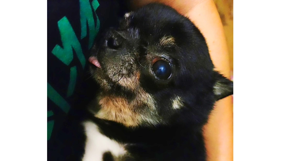 士遠が教えてくれたことは当たり前の大切さと幸せ。日々を過ごす中で「どれだけ濃い時間を過ごすか」