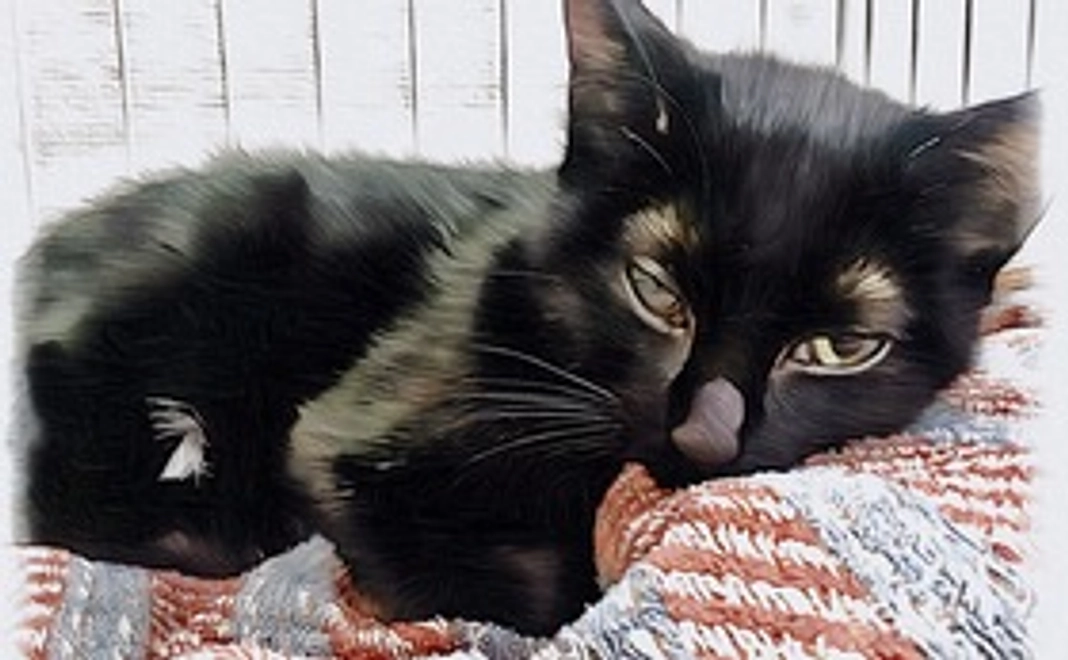 心を込めて感謝のメール