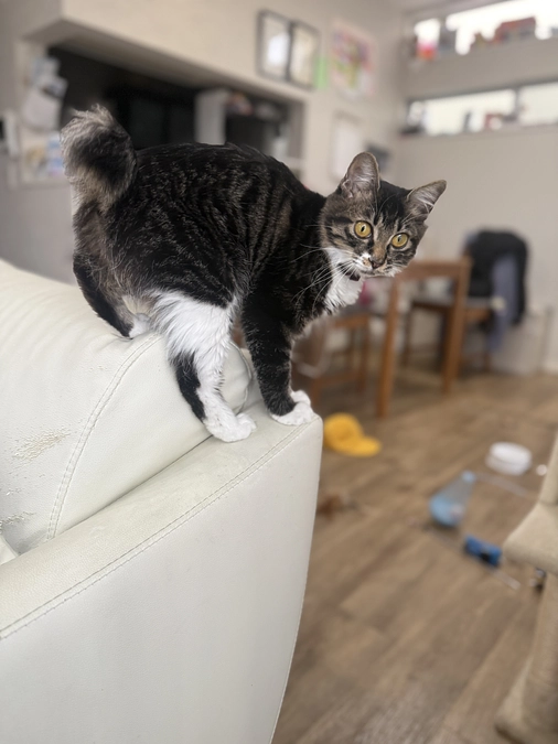 11月11日、受診日でした🏥