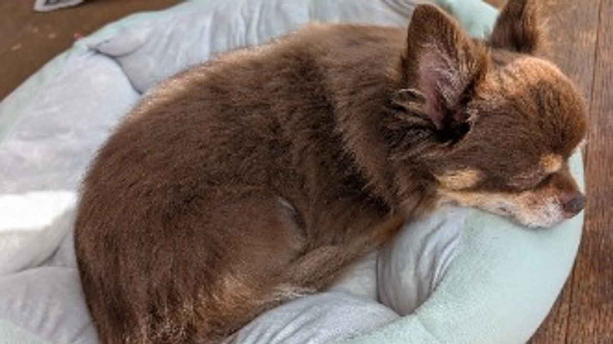 本日より公開です❢