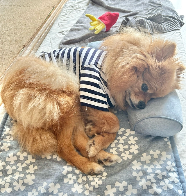 🆘🆘残り3日🆘🆘