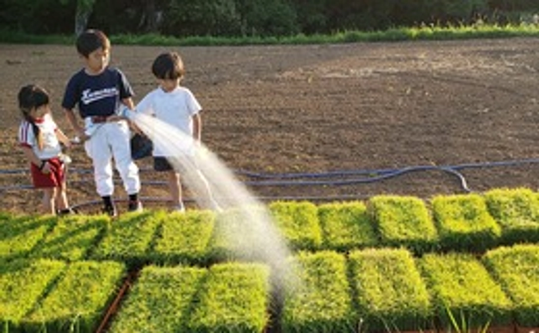 山手のお米　５kg