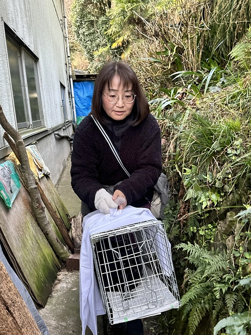 城下町にゃんこの会　TNRアシストメンバーのご紹介