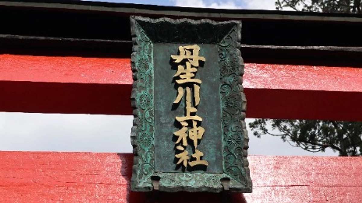 ご支援額１００万円達成のお礼と皆様方へのおねがい