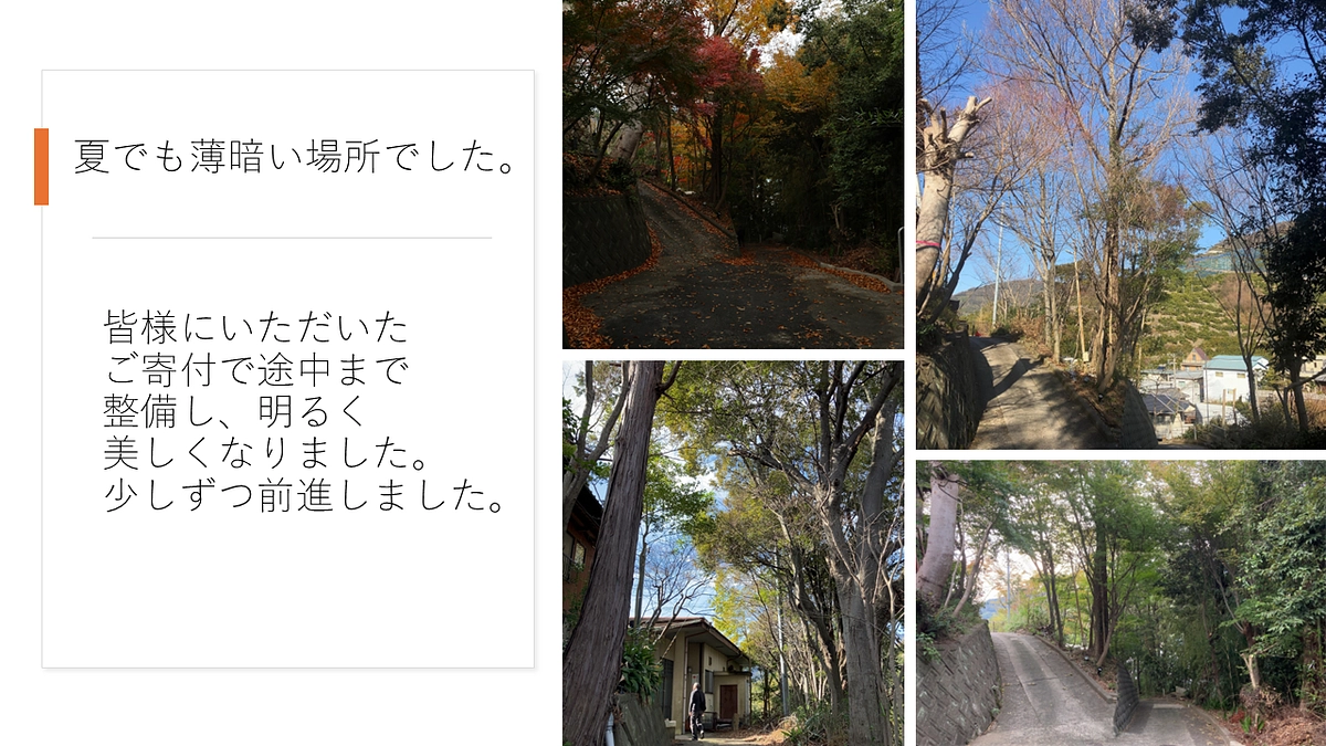 真夏の天気の日でも、暗く、風通しも悪い状態でした。