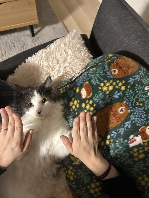 あと少しみなさまお力お貸しください🙇‍♀️🙇‍♀️🙇‍♀️