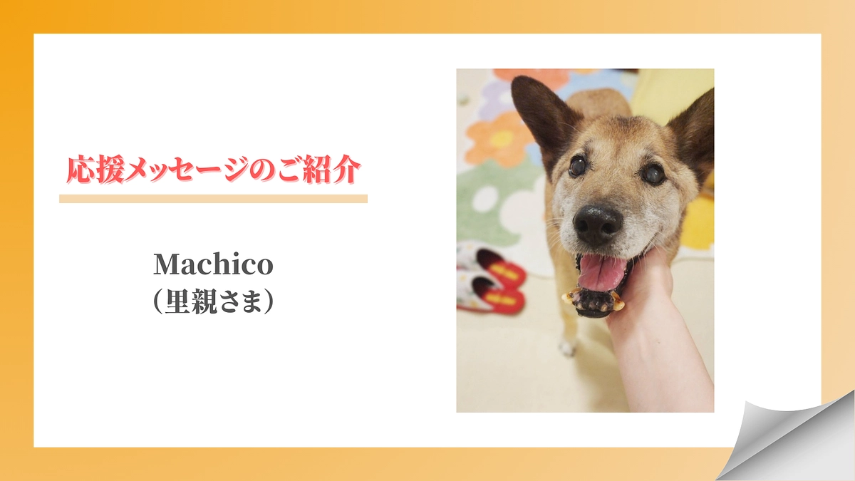 【メッセージリレー#7】Machico（里親さま）