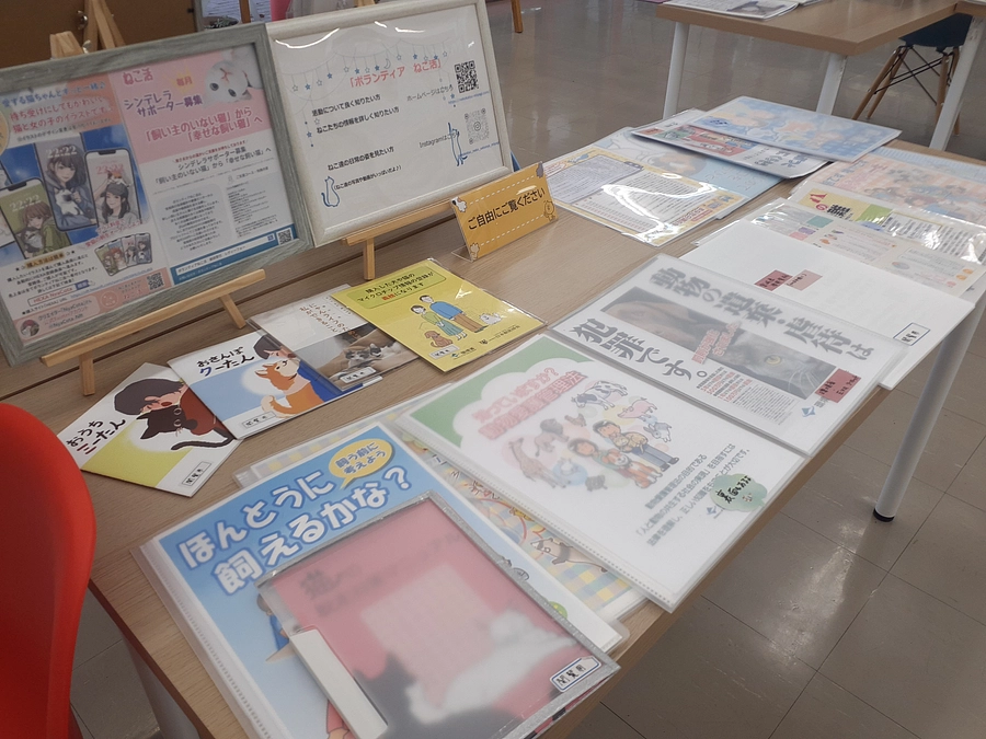 12月22日(金)☆星空ねこ写真でお見合い会☆～ねこはお留守番だよ～のご報告