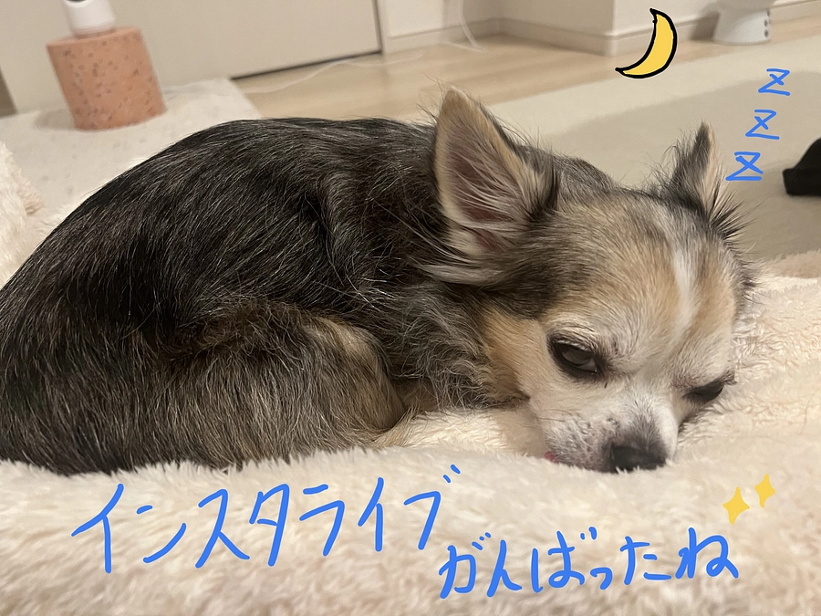 いよいよクライマックス。。。。