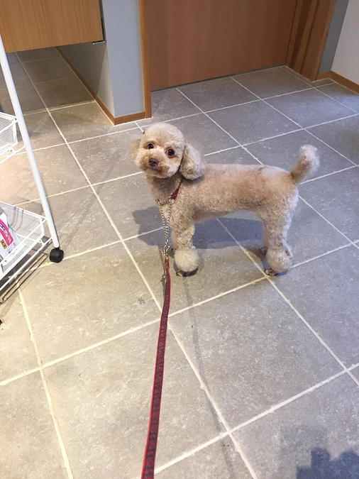 インスタライブ