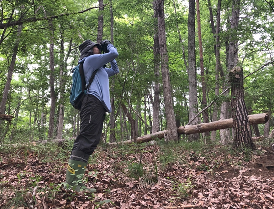 スタッフだより