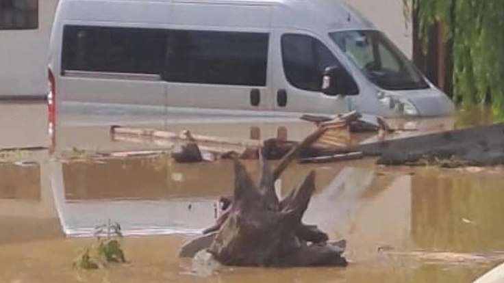 オーストリア自然派ワイナリーへの水害支援