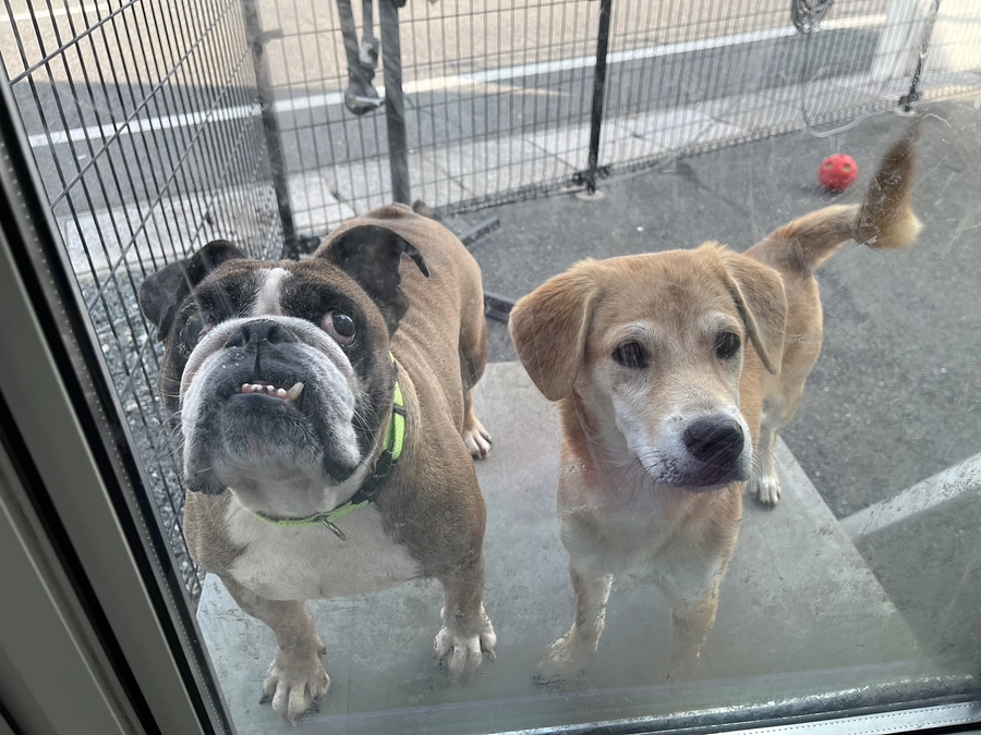 2025.10月　活動報告*