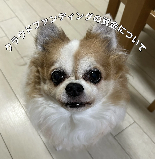 クラウドファンディングの資金について