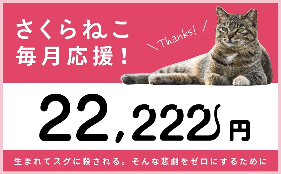 22,222円