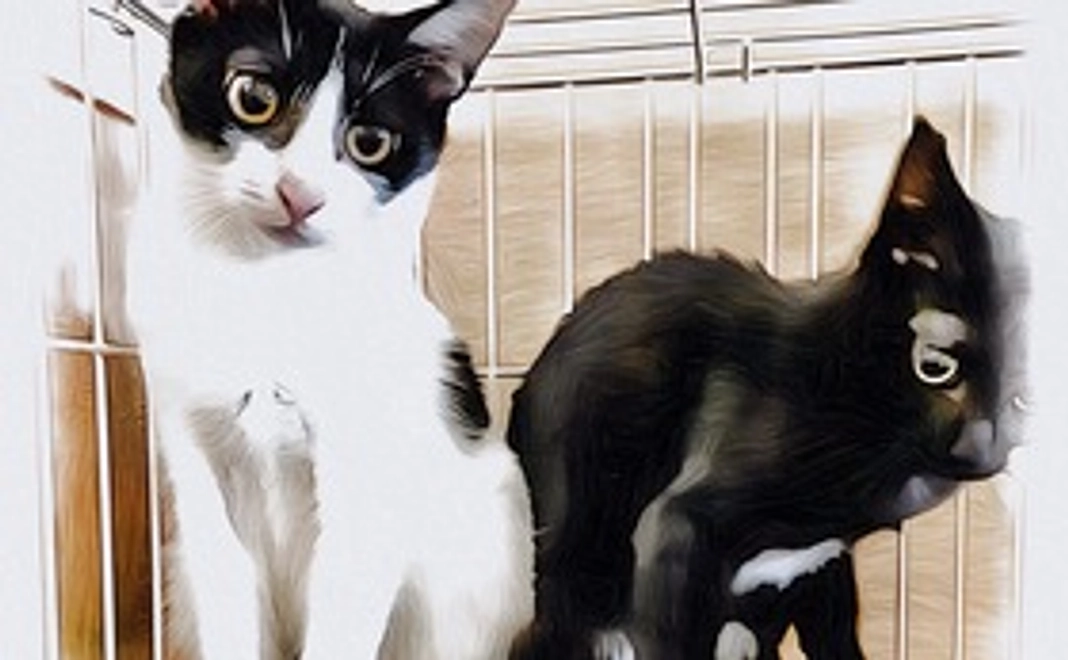 心を込めて込めて、感謝のメールとおはぎの写真データ