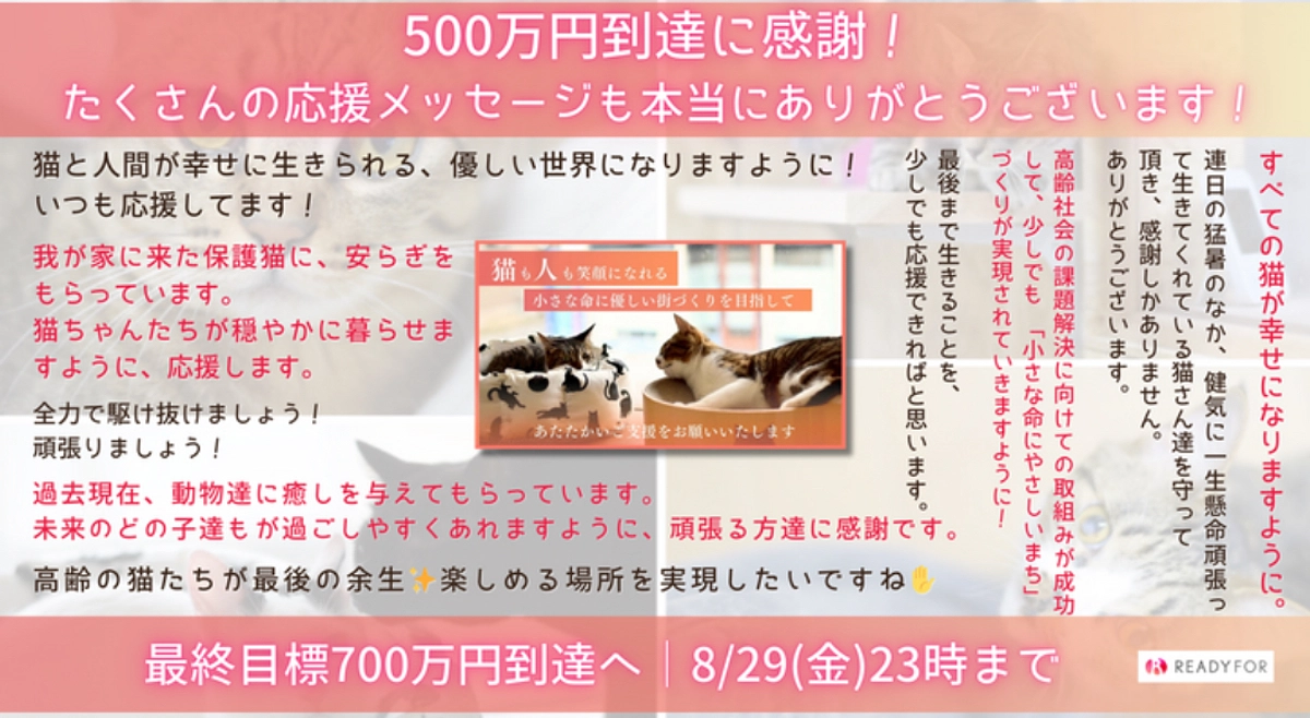 【お礼】目標金がか500万円を達成しました！最終目標700万円に向けて最後まで頑張ります！