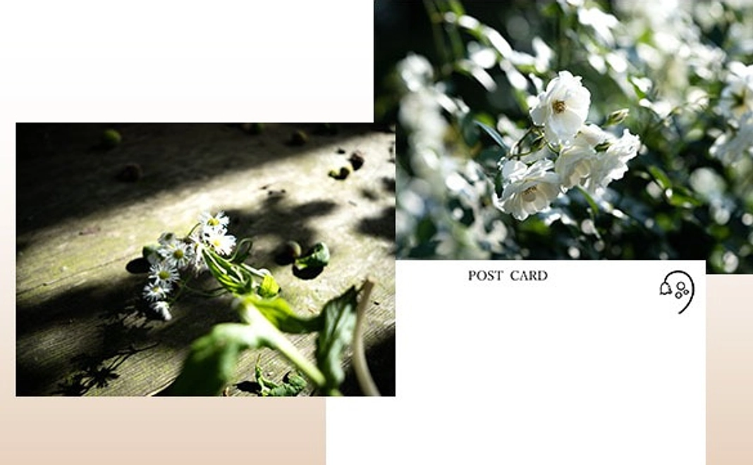 ポストカードでメッセージを送らせていただきます。