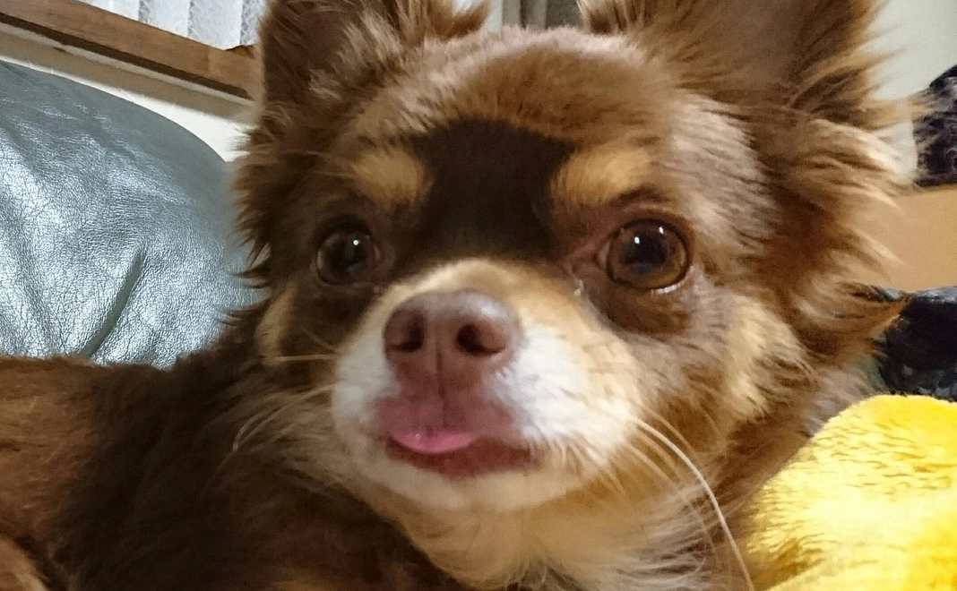 感謝のメッセージ　1000円