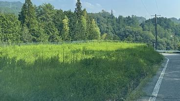 みなみ信州中山間地未耕作田んぼを復活させて適正価格のお米を提供する のトップ画像