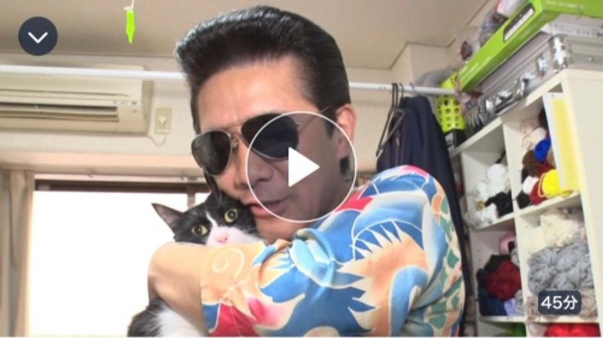 引越しの様子がBS-TBS 「ねこ自慢」で放送されました