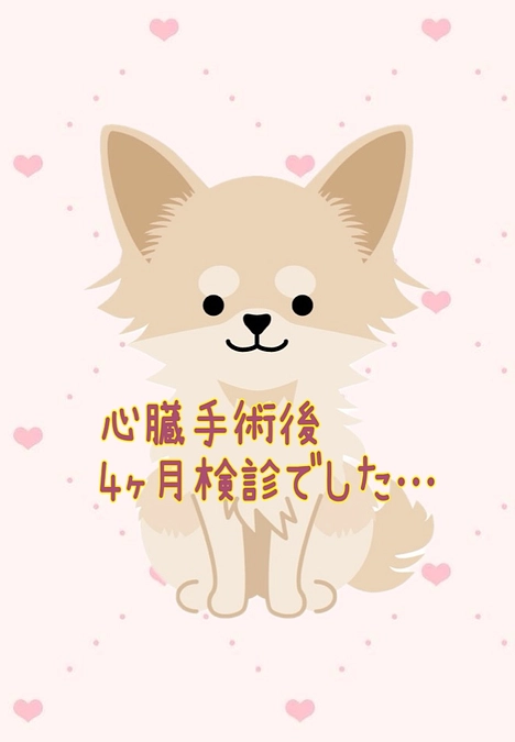 4ヶ月検診と今後のご報告